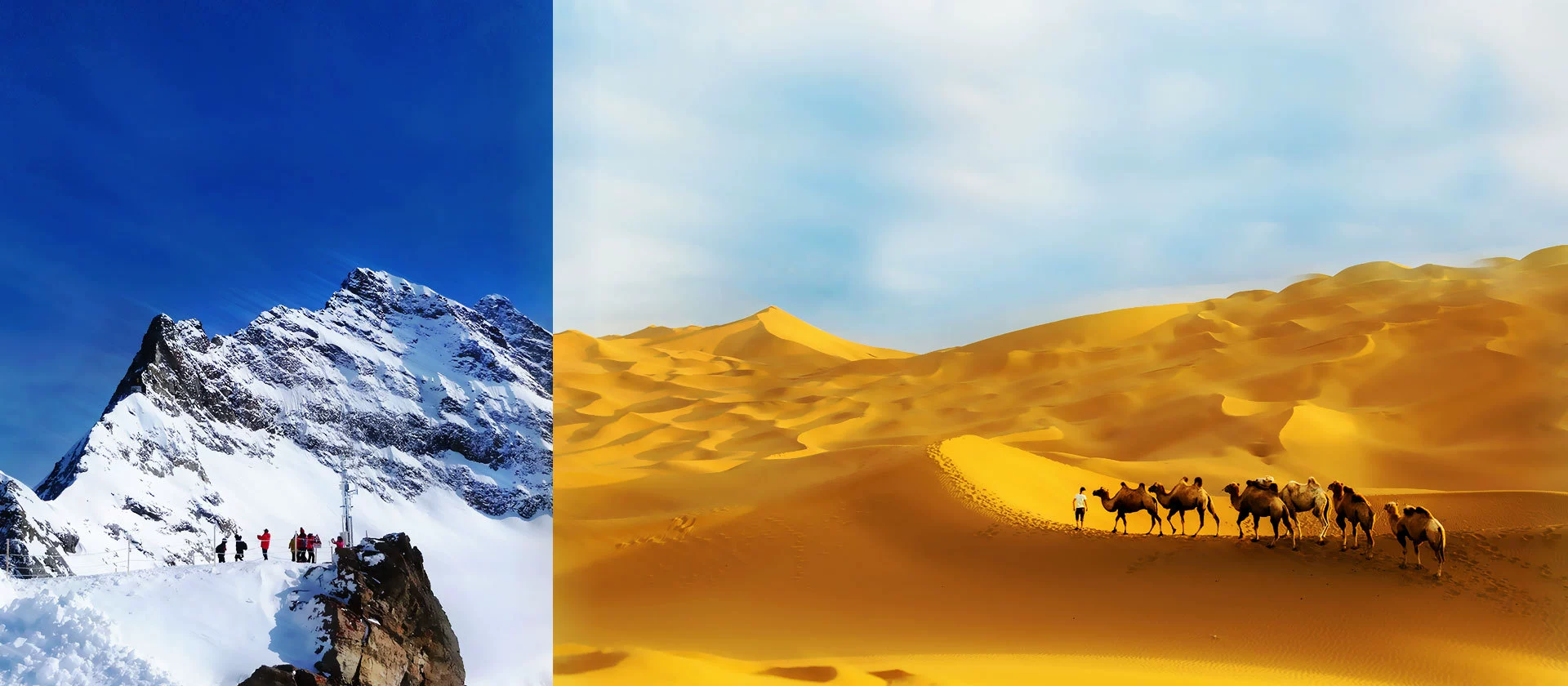 環(huán)境模擬儀器